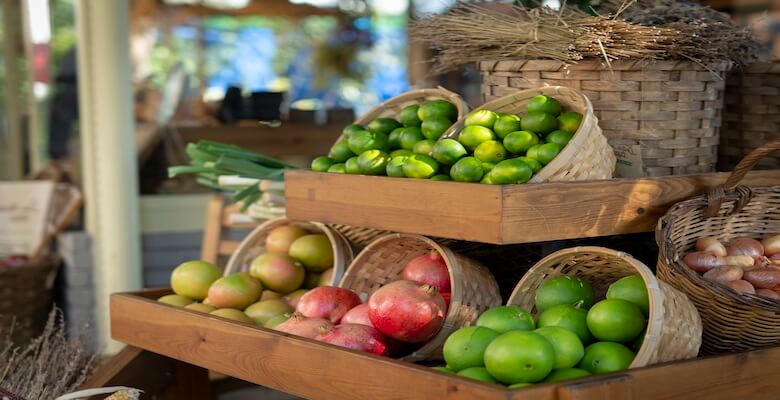 Emziren Annelere Sağlık ve Enerji Dolu Beslenme Önerileri