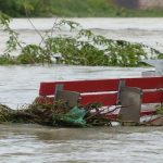 Afet Bölgesinin Yeniden İnşasında Kadınlar Karar Süreçlerine Dahil Edilmeli