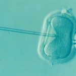 Tüp bebek tedavisi nedir?