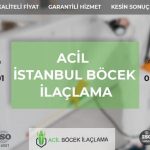 Acil Böcek İlaçlama