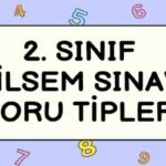 Sınıf Bilsem Sınavı Soru Tipleri