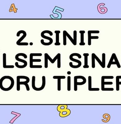 Sınıf Bilsem Sınavı Soru Tipleri