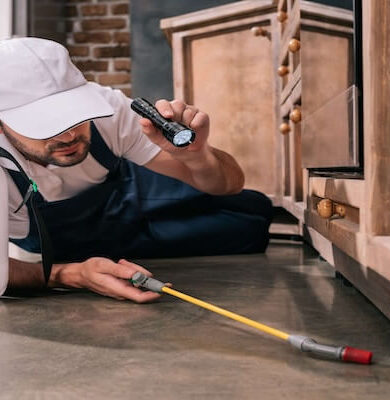 İstanbul Böcek İlaçlama Hizmetleri