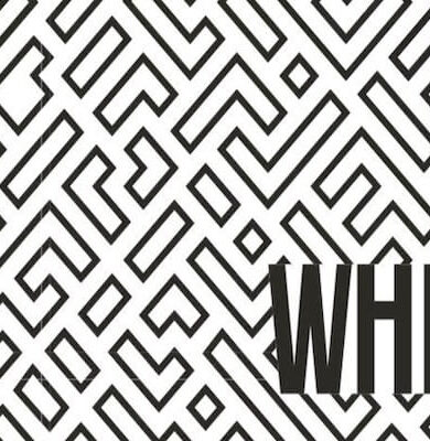 Whizzo ile Dijital Dünyada Fark Yaratın!