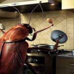 Evdeki Böceklere Çözüm Nasıl Bulunur? Huzurlu ve Sağlıklı Bir Yaşam İçin İpuçları