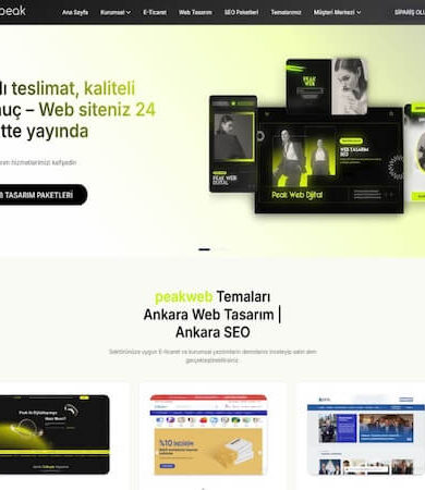 Dijital Rekabette Öne Geçin: Garantili SEO Yükselişi İçin Peak Web Dijital ile Tanışın
