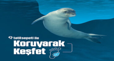 Tatilde Doğayı Koruyarak Keşfedin