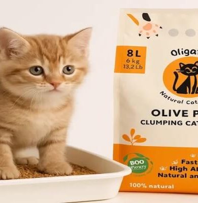 Kediniz ve dünya için devrim: Zeytin çekirdeğinden kedi kumu neden popüler?